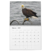 Bald Eagle Funny Fowls Vogelfotografie 2025 Kalender (Feb 2027)