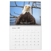 Bald Eagle Funny Fowls Vogelfotografie 2025 Kalender (Jan 2027)