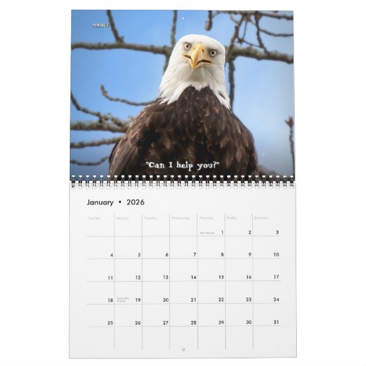 Bald Eagle Funny Fowls Vogelfotografie 2025 Kalender (Jan 2026)