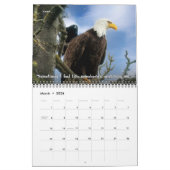 Bald Eagle Funny Fowls Vogelfotografie 2025 Kalender (Mar 2026)