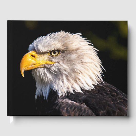 Bald Eagle Gastenboek (Voorkant)