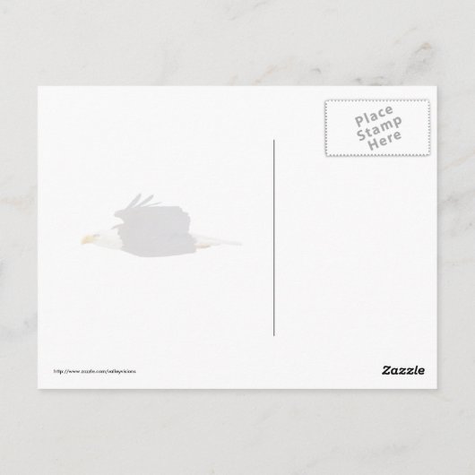 Bald Eagle Gaze Briefkaart (Achterkant)