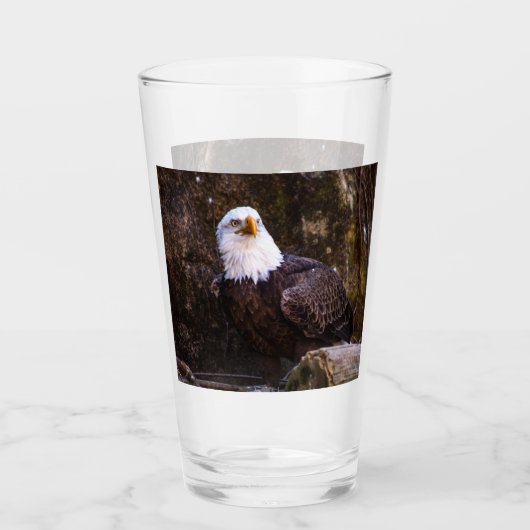 Bald Eagle Glas (Voorkant)