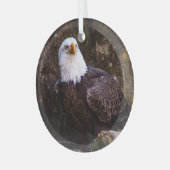 Bald Eagle Glas Ornament (Voorkant links)