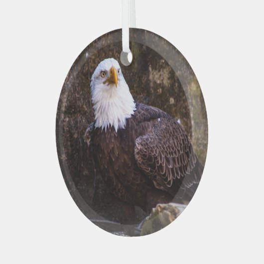 Bald Eagle Glas Ornament (Voorkant links)