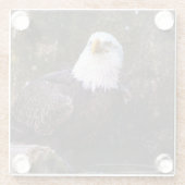 Bald Eagle Glazen Onderzetter (Achterkant)