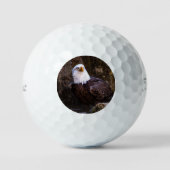 Bald Eagle Golfballen (Voorkant)