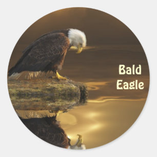 Bald Eagle GRATITUDE Wildlife Foto Ronde Sticker