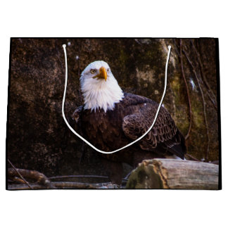 Bald Eagle Groot Cadeauzakje