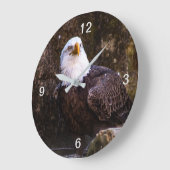 Bald Eagle Grote Klok (Hoek)