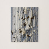 Bald Eagle, Haliaeetus leucocephalus, Homer, 2 Legpuzzel (Verticaal)