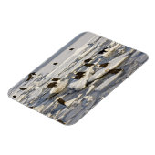 Bald Eagle, Haliaeetus leucocephalus, Homer, 2 Magneet (Linkerzijde)