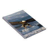 Bald Eagle, Haliaeetus leucocephalus, Homer, 3 Notitieboek (Rechterzijde)