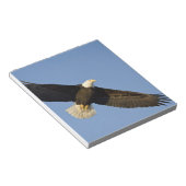 Bald Eagle, Haliaeetus leucocephalus, Homer, 4 Notitieblok (Schuin)