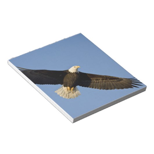 Bald Eagle, Haliaeetus leucocephalus, Homer, 4 Notitieblok (Schuin)