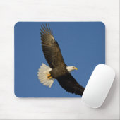 Bald Eagle, Haliaeetus leucocephalus, Homer Muismat (Met muis)