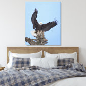 Bald Eagle (Haliaeetus leucocephalus) met vleugels Canvas Afdruk (Insitu (Slaapkamer))