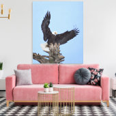 Bald Eagle (Haliaeetus leucocephalus) met vleugels Canvas Afdruk (Insitu (Woonkamer))