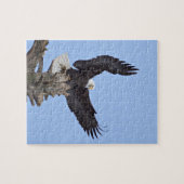 Bald Eagle (Haliaeetus leucocephalus) met vleugels Legpuzzel (Horizontaal)