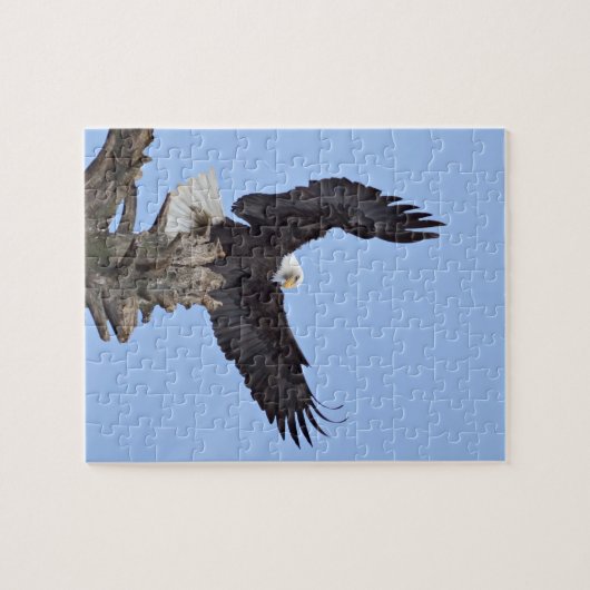 Bald Eagle (Haliaeetus leucocephalus) met vleugels Legpuzzel (Horizontaal)