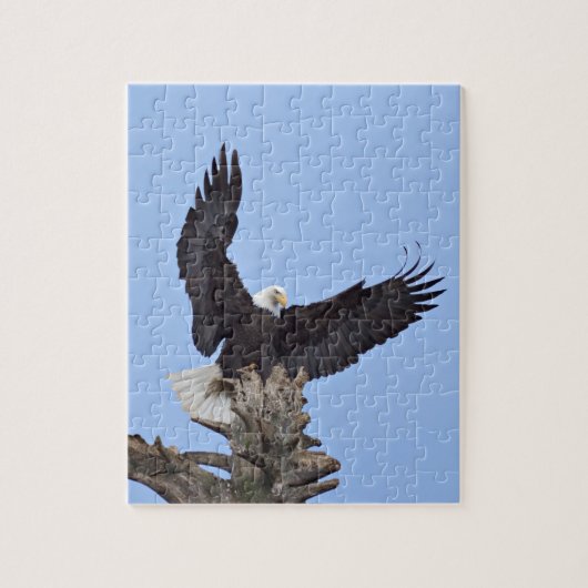 Bald Eagle (Haliaeetus leucocephalus) met vleugels Legpuzzel (Verticaal)