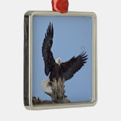 Bald Eagle (Haliaeetus leucocephalus) met vleugels Metalen Ornament (Rechts)