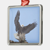 Bald Eagle (Haliaeetus leucocephalus) met vleugels Metalen Ornament (Links)