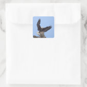 Bald Eagle (Haliaeetus leucocephalus) met vleugels Vierkante Sticker (Tas)