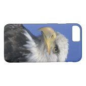 Bald Eagle (Haliaeetus leucocephalus), wild, Case-Mate iPhone Case (Achterkant (Horizontaal))
