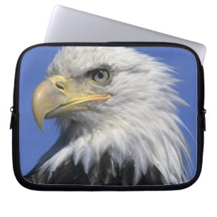 Bald Eagle (Haliaeetus leucocephalus), wild, Laptop Sleeve