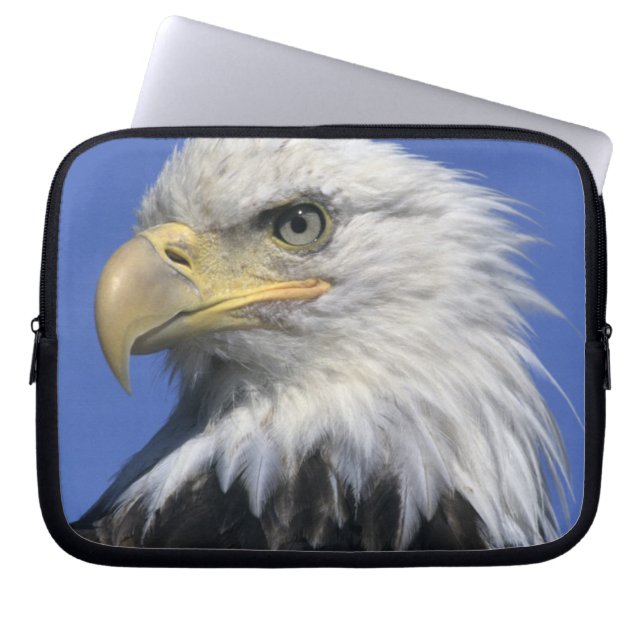 Bald Eagle (Haliaeetus leucocephalus), wild, Laptop Sleeve (Voorkant)