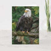 Bald Eagle Hartelijk dank Bedankkaart (Voorkant)
