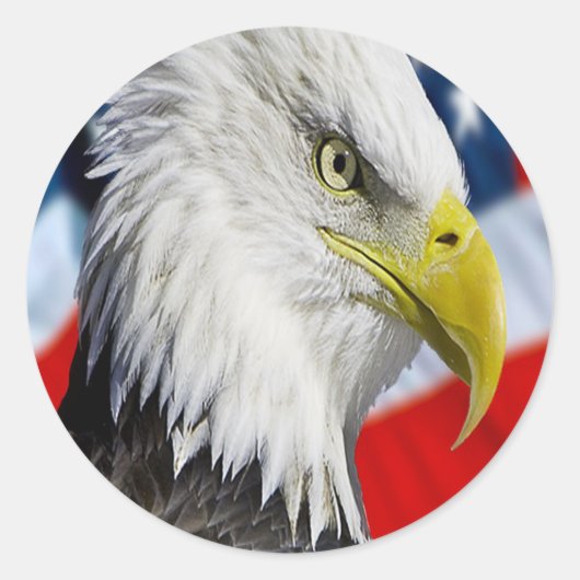 Bald Eagle head en een Amerikaanse vlag Ronde Sticker (Voorkant)