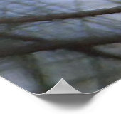 Bald Eagle Hiding poster (Hoek)