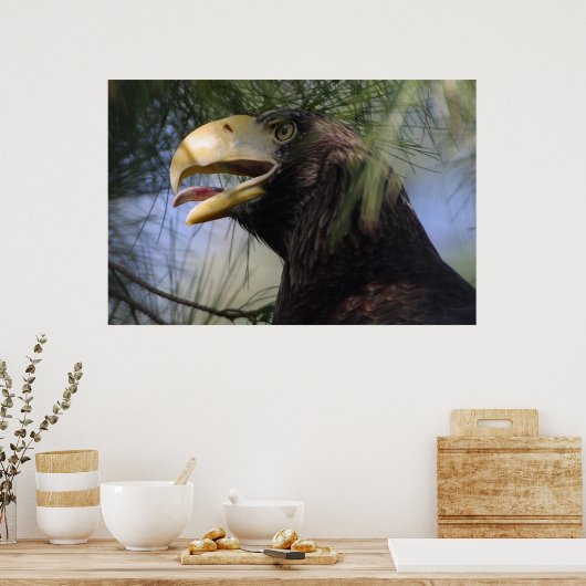 Bald Eagle Hiding poster (Keuken)