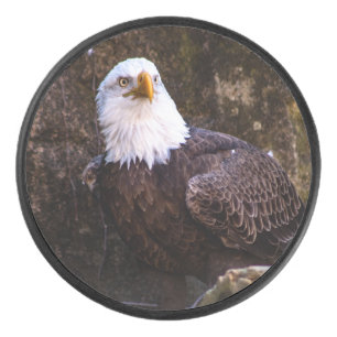 Bald Eagle Hockey Puck