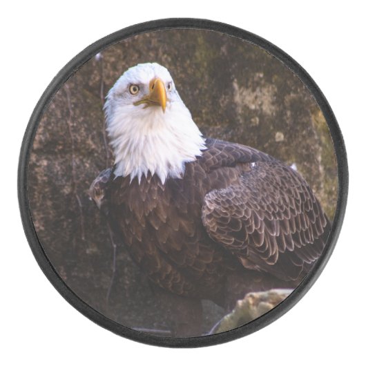 Bald Eagle Hockey Puck (Voorkant)
