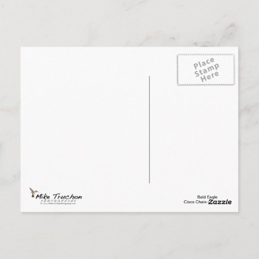 Bald Eagle II Briefkaart (Achterkant)