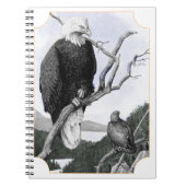 Bald Eagle  Illustratie Notitieboek (Voorkant)