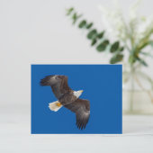 Bald Eagle in Blue Sky Briefkaart (Staand voorkant)