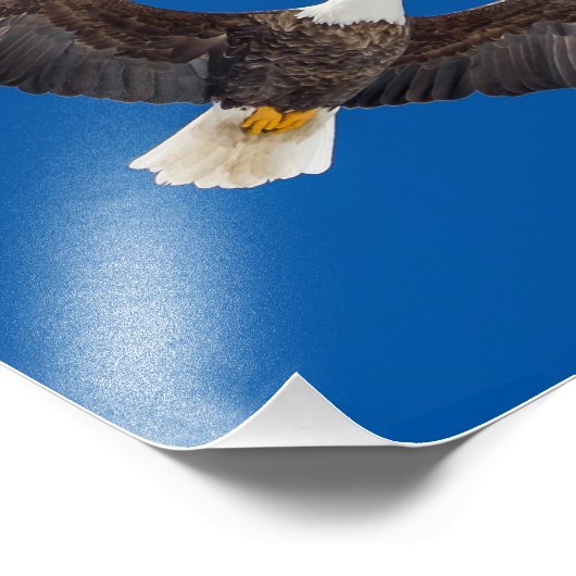 Bald Eagle in Blue Sky Foto Afdruk (Hoek)