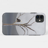 Bald Eagle in boom Case-Mate iPhone Case (Achterkant (horizontaal))