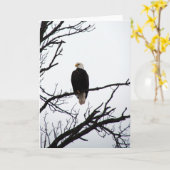 Bald Eagle in boom Kaart (Gele Bloem)