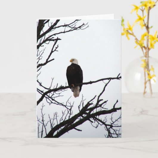 Bald Eagle in boom Kaart (Gele Bloem)
