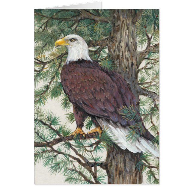 Bald Eagle in Branch (Voorkant)