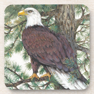 Bald Eagle in Branch Bier Onderzetter