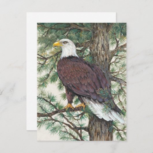 Bald Eagle in Branch Briefkaart (Voorkant / Achterkant)