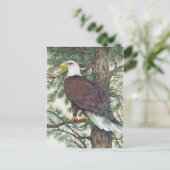 Bald Eagle in Branch Briefkaart (Staand voorkant)