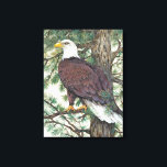 Bald Eagle in Branch Canvas Afdruk<br><div class="desc">Bald Eage op Branch Artist: Tim OToole</div>