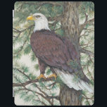 Bald Eagle in Branch iPad Cover<br><div class="desc">Bald Eage op Branch Artist: Tim OToole</div>